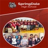 Springdalehighschool