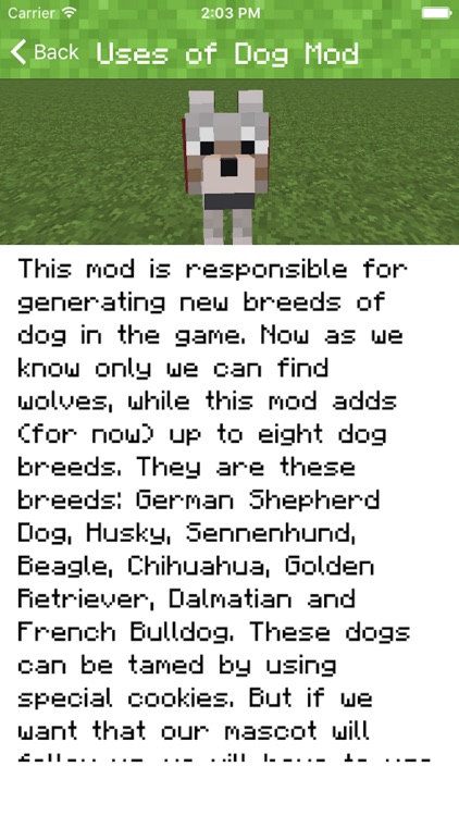 DOG MOD FOR MINECRAFT PC EDITION - POCKET INSTALLER GUIDE screenshot-4