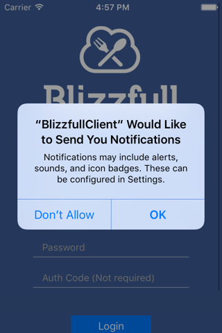 Blizzfull Client screenshot 2