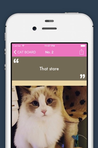 Cat Dog Leaderboard - Popular Dog & Cat Pics At The Moment screenshot 4