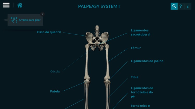 PalpEasy