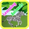 Playgroup Kids Animal Learning