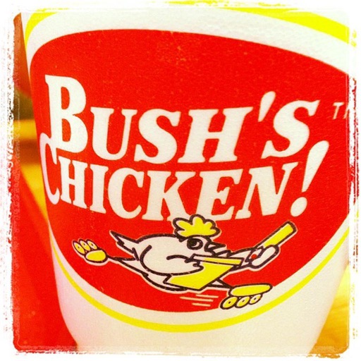 Bush's Chicken by Ron Schroeder