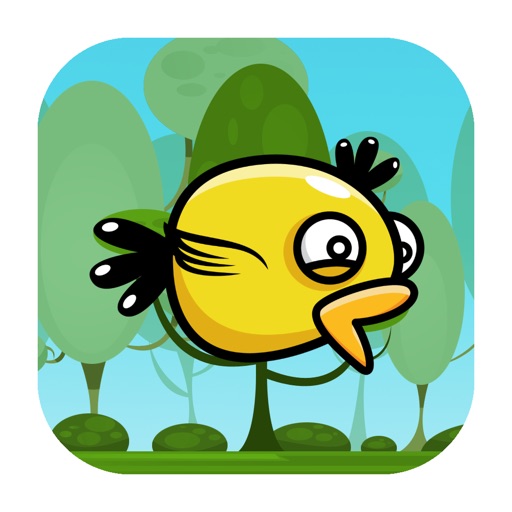 Duck Flyer Pro iOS App