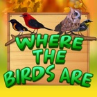 Where The Birds Are