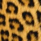 Icon Animal Print Wallpapers