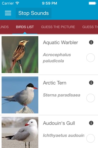 UK Birds and Sounds screenshot 2