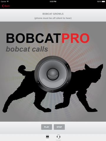 REAL Bobcat Calls - Bobcat Hunting -Bobcat Sounds HD screenshot 2