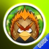 Guide for Angry Birds Action - Rovio Slingshot