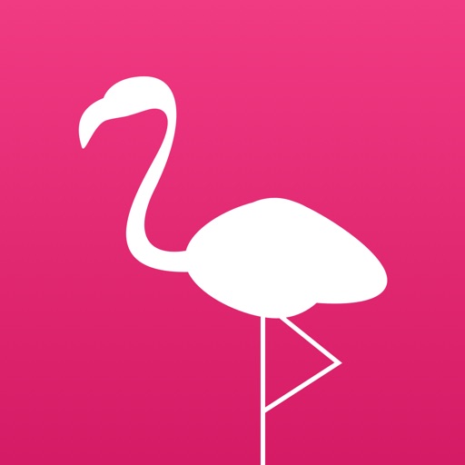 Flamingo - Stream Photos in Realtime icon