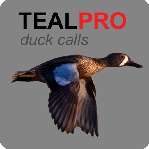 Duck Calls for Teal - With Bluetooth - Ad Free icon