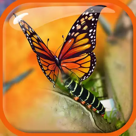 Blender Camera Effect –  Edit & Blend Photo.s with Overlap Effects in Superimpose Studio Cheats