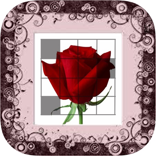 Picross Flower (nonogram) Icon