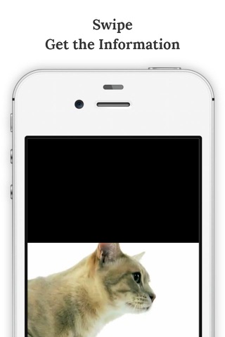 SwiArk - Cat Breed Video Directory screenshot 3