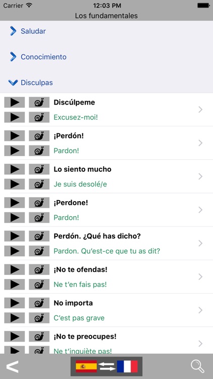 Spanish / French Talking Phrasebook Translator Dictionary - Multiphrasebook