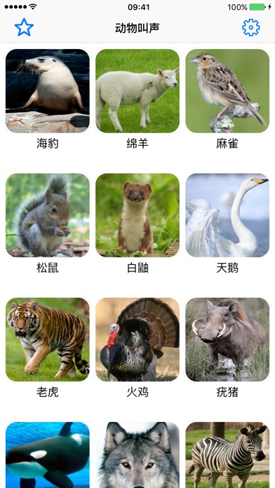 36种动物叫声图片