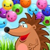 Hedgehog Trails - FREE - Outdoor Bubble Shooter