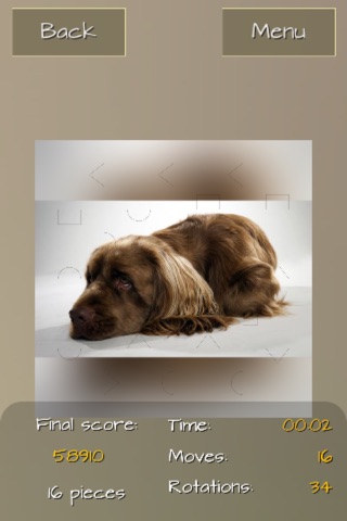 Dogs Studio Puzzle screenshot 3