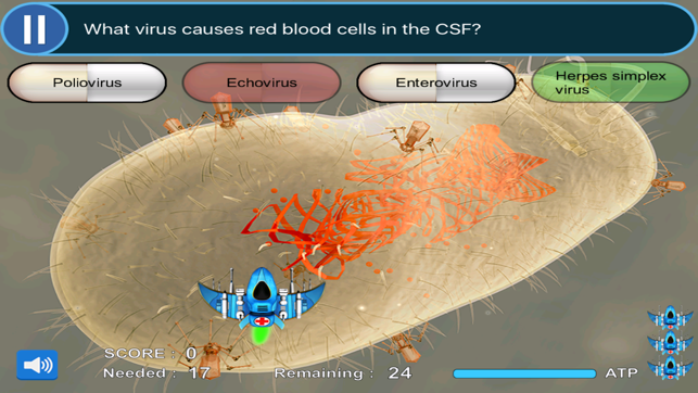 Neurology Rotation & Clinical Gross Neuroanatomy Review Game(圖4)-速報App