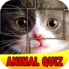 Icon Easy Animal Quiz - Free Animals Puzzle Game For Kids