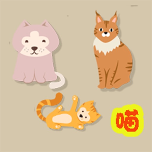 快速找猫 icon