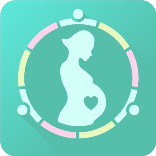 My Pregnancy Ticker