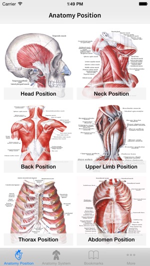 Human Anatomy Position(圖2)-速報App