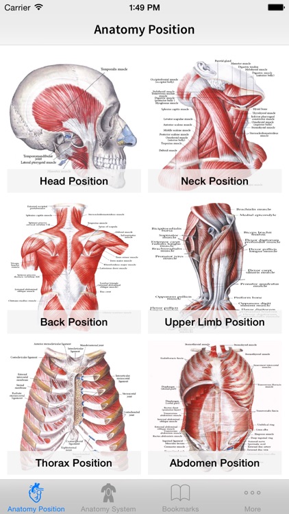 Human Anatomy Position screenshot-1