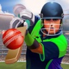 IPL Cricket Craze 3D