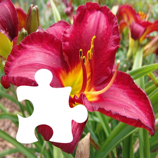 Flowers Puzzle Collection