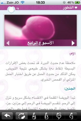 دليل الحمل - Pregnancy Guide screenshot 3