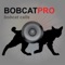 Icon Bobcat Hunting Calls - With Bluetooth - Ad Free