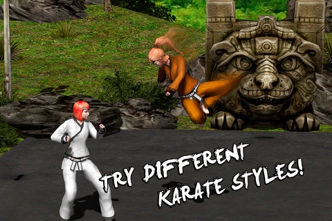 Karate Do Fighting Tiger 3D Games Fighting Tiger Earn Points