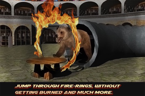 Circus Master - Animal Stunts screenshot 3