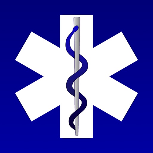 ICE (In Case of Emergency) Icon