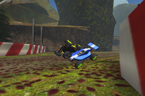 R/C Car Off-Road Racing- Radio Controlled Nitro Buggy Simulator Game PRO screenshot 3