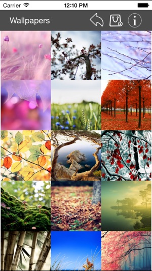 Wallpaper Collection Nature Edition(圖4)-速報App