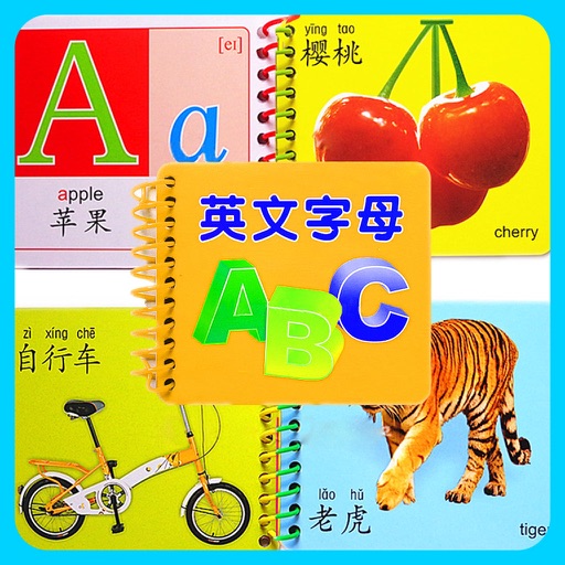 congnition cards for kids: baby preschool learn the image of goods
