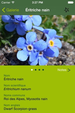 AlpineFlower Finder – Europe screenshot 2