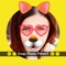 Funny Face Filters & Stickers For Social Apps is designed for making funny pics