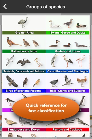 Birds of Europe Guide screenshot 3