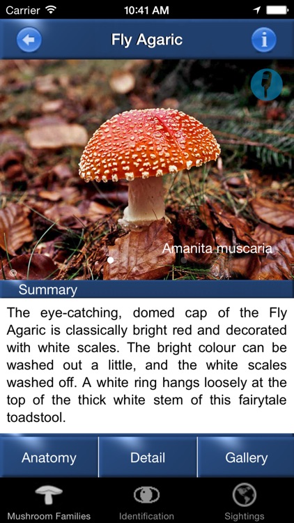 Mushroom Id North America - Fungi Identification Guide to Toadstools and Mushrooms