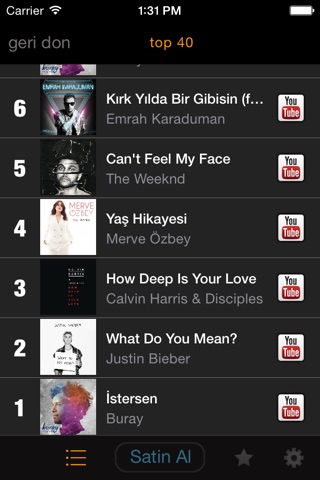 my9 Top 40 : TR muzik listesi screenshot 3