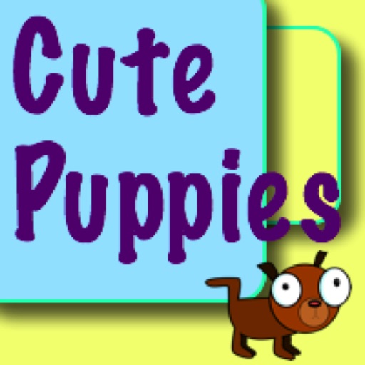 Cute Puppies 2016