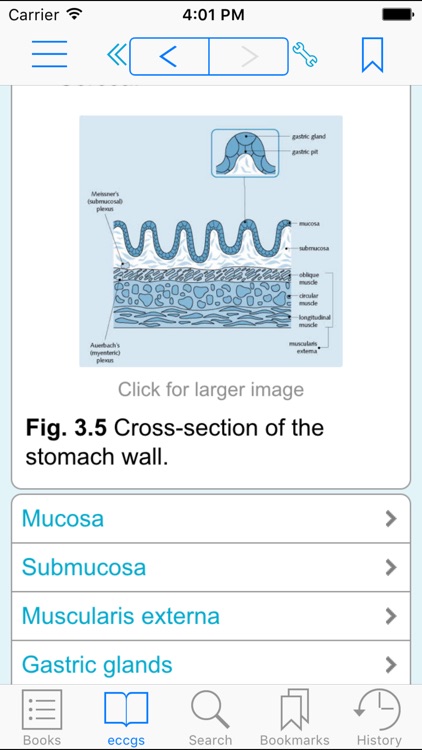 Crash Course: Gastrointestinal System, 4th Edition