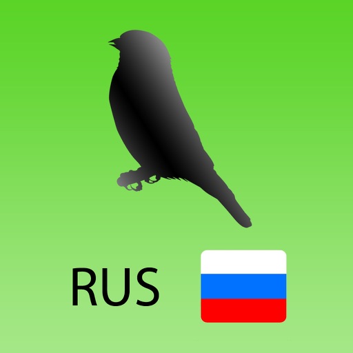 Птицы РФ icon