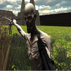 Activities of Z Rage