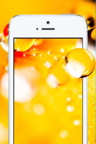Wallpapers HD for iPhone 6s/6/5s - Images & Backgrounds Free screenshot 4