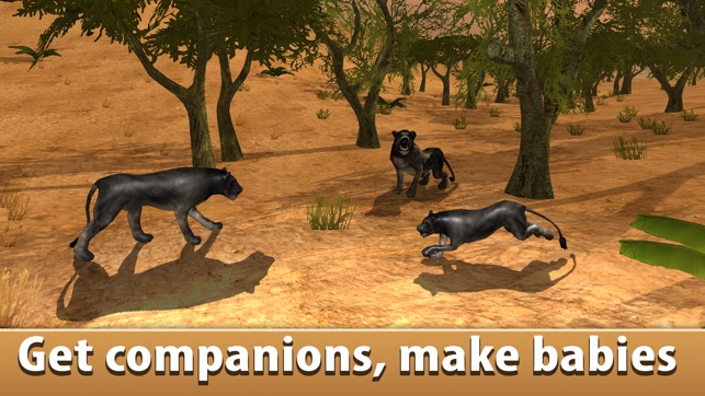 Black Wild Panther Simulator 3D Full - Be a wild cat in anim(圖1)-速報App