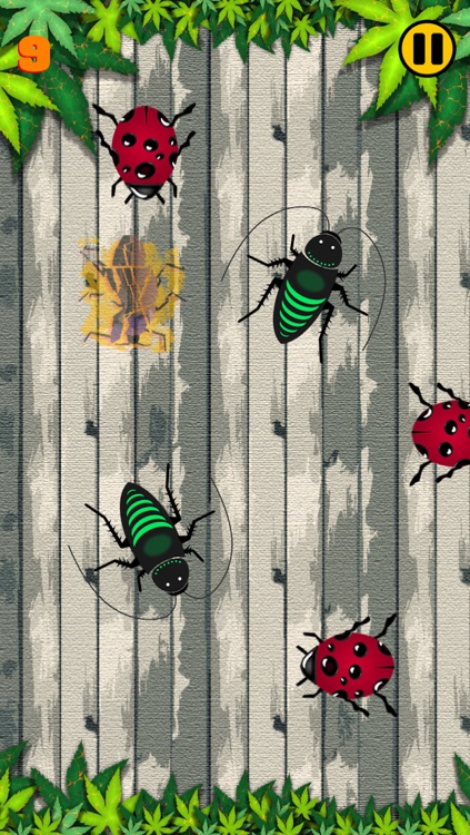 Bug Squash Pro screenshot-3
